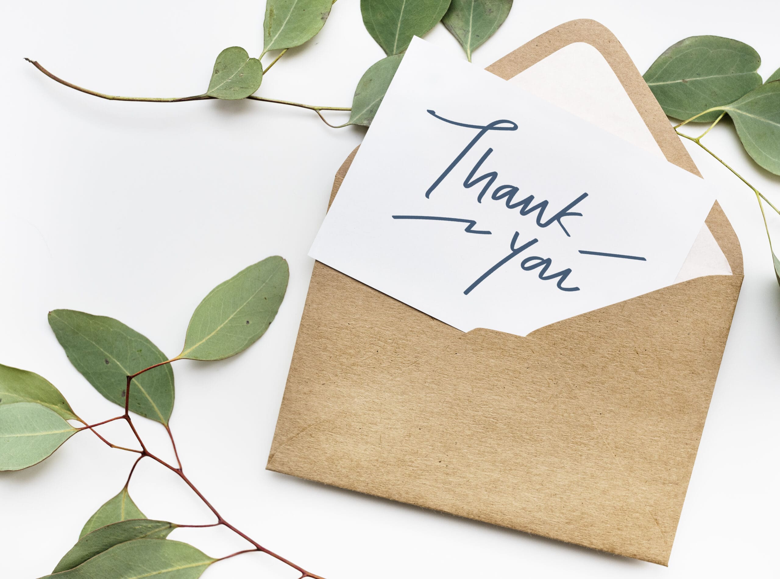 Thank you card and envelope for wedding vendor appreciation Thank you card and envelope with greenery symbolizing appreciation for wedding vendors